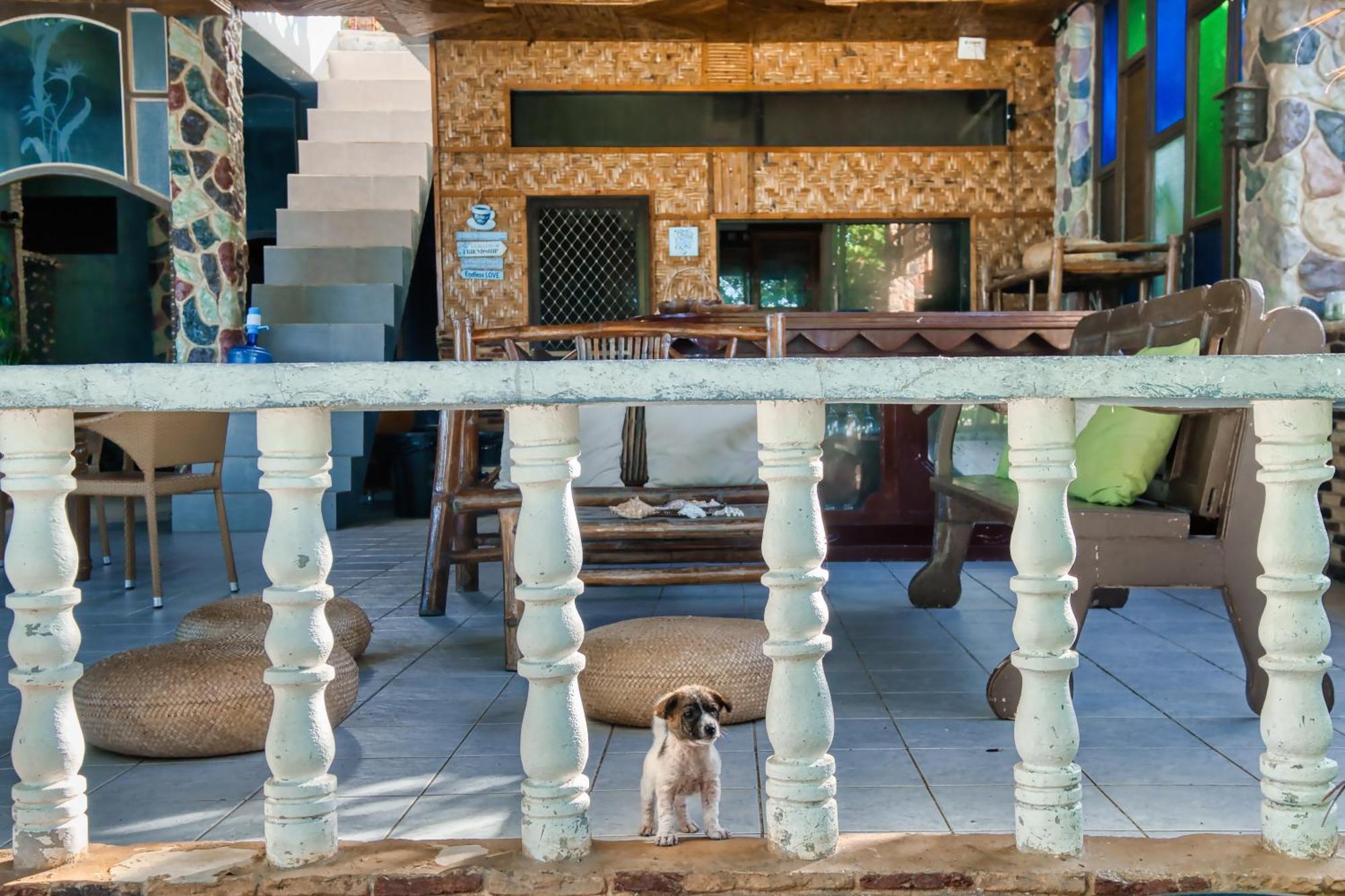 Pilar Pilapil Beach Resort Daanbantayan Eksteriør billede